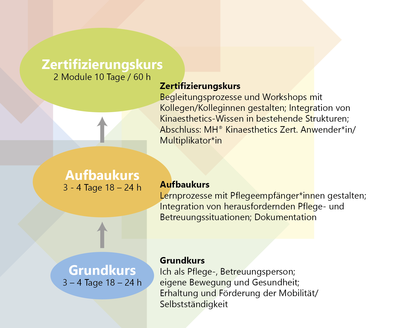 Das MH® Kinaesthetics Anwender*innen-Programm: Grundkurs, Aufbaukurs und Zertifizierungskurs – und die anschließenden Weiterbildungen zur Trainer*in